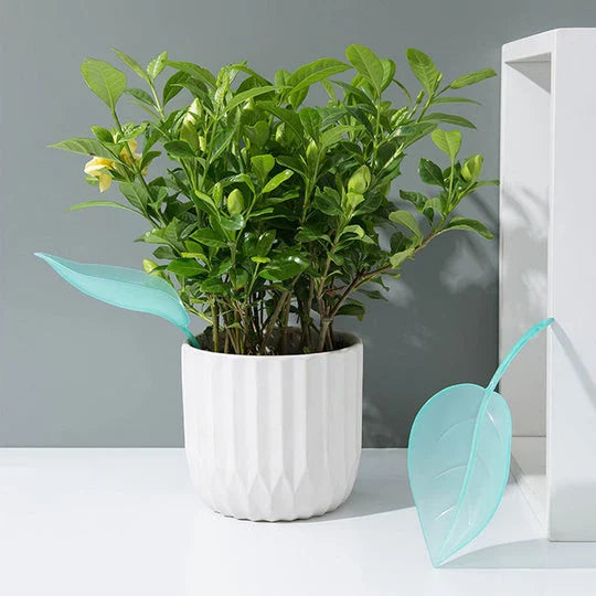 Leaf-Shaped Watering Funnel