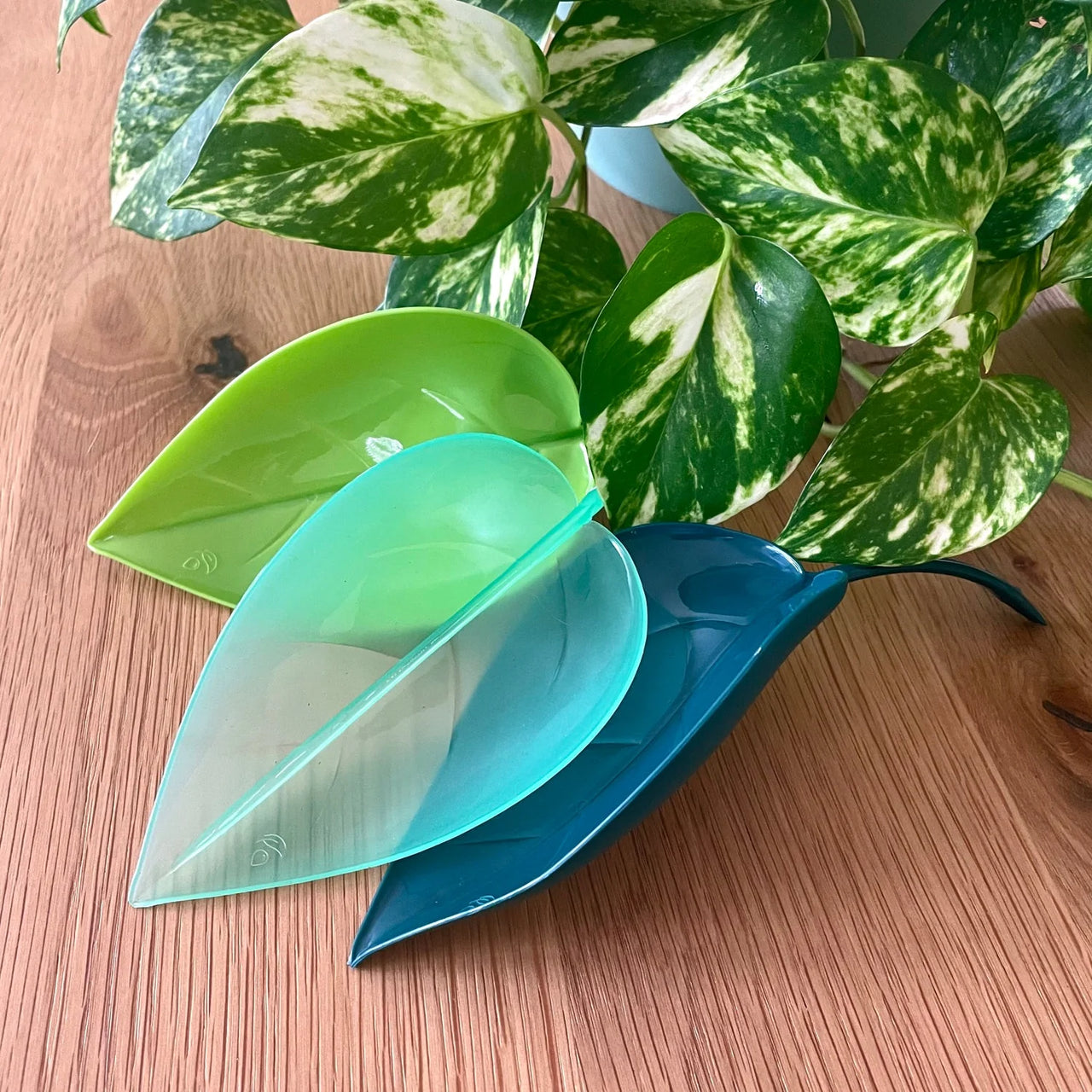 Leaf-Shaped Watering Funnel