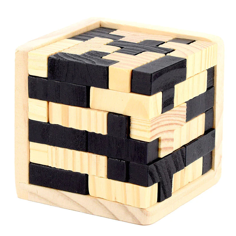 3D Brain Teaser Puzzle [New Arrival]