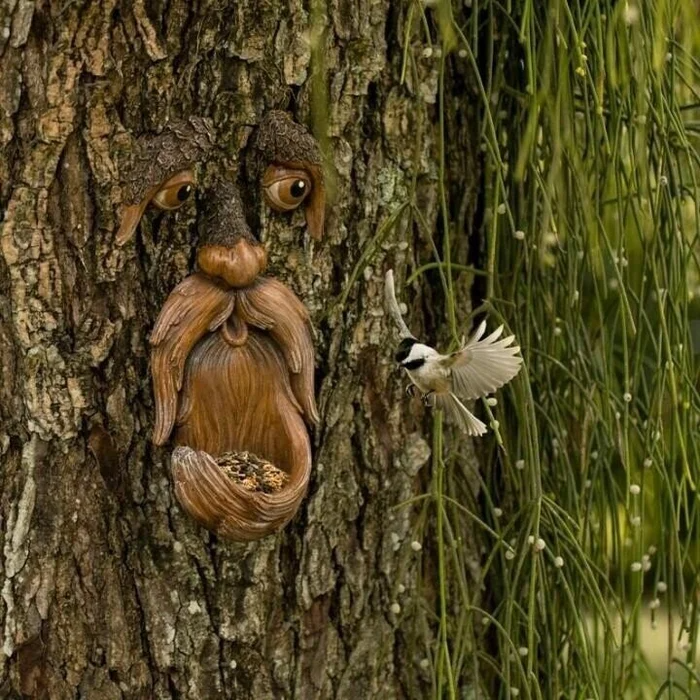 🌳Unique Bird Feeders  - Old Man Tree Art