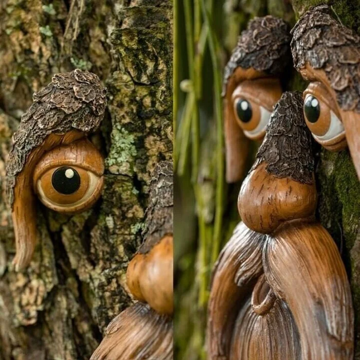 🌳Unique Bird Feeders  - Old Man Tree Art