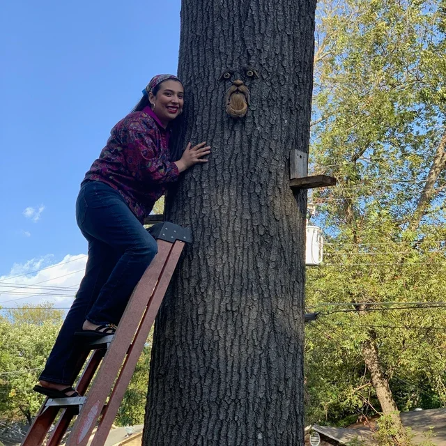 🌳Unique Bird Feeders  - Old Man Tree Art