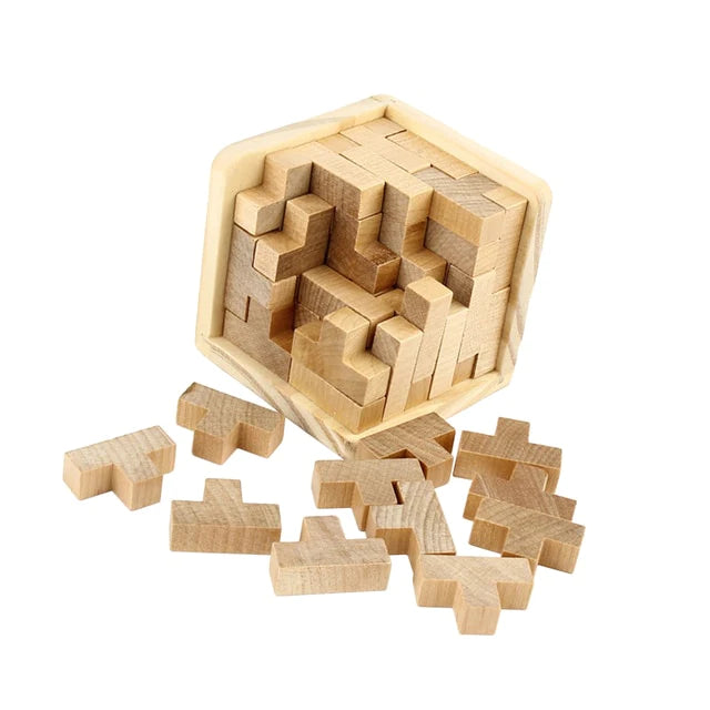 3D Brain Teaser Puzzle [New Arrival]