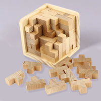 Thumbnail for 3D Brain Teaser Puzzle [New Arrival]